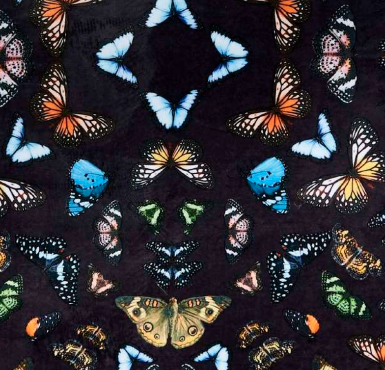 Butterfly Velvet Petite Collar